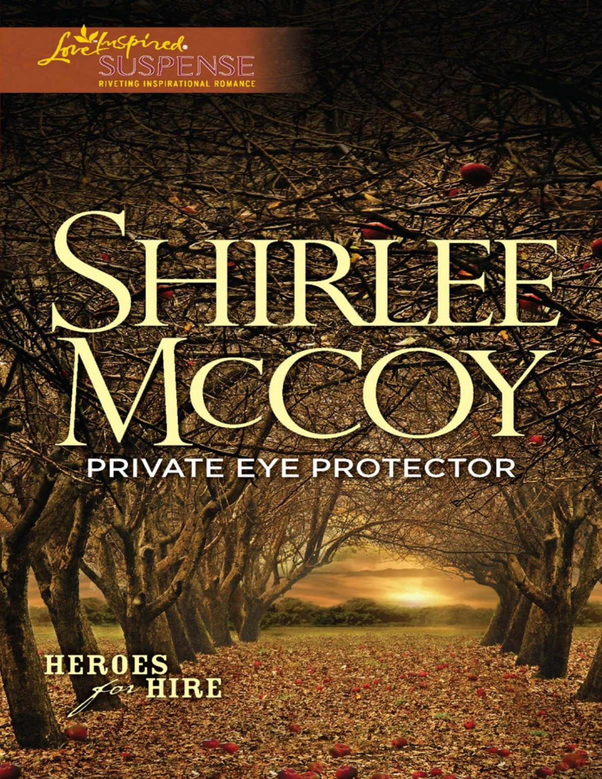 Private Eye Protector Shirlee Mccoy