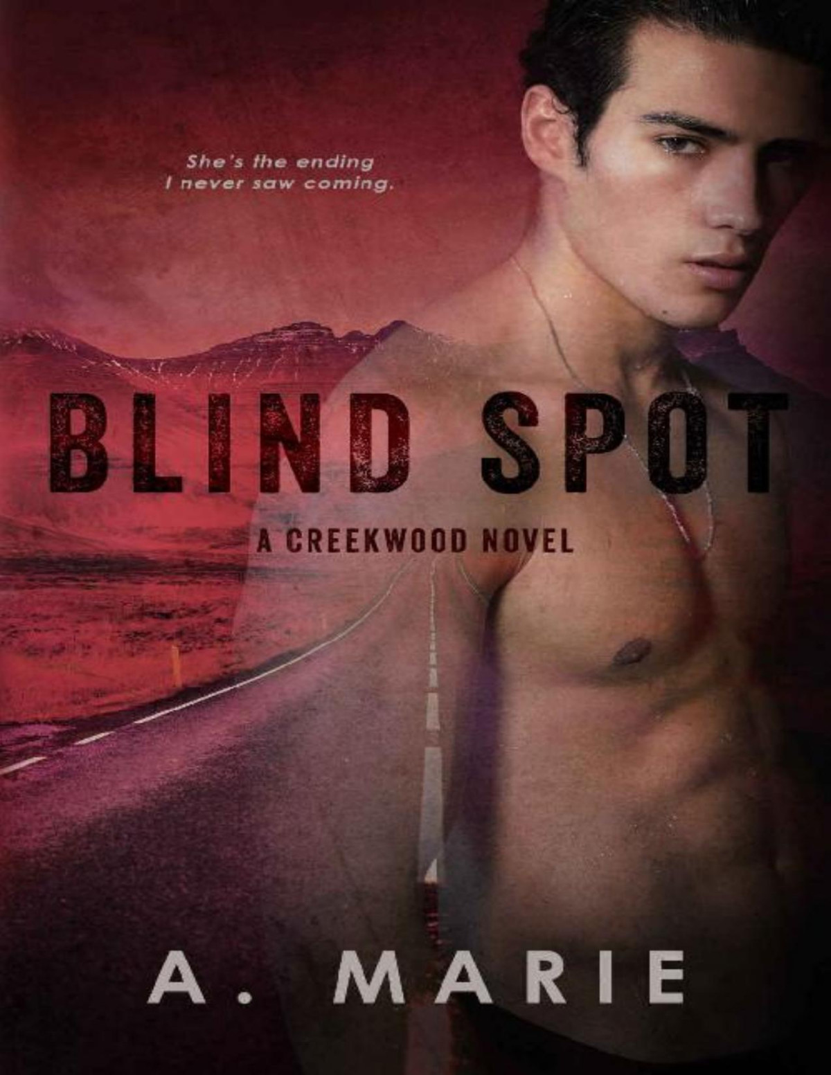Blind Spot A Creekwood Novel Creekwood Series Book 3 A Marie