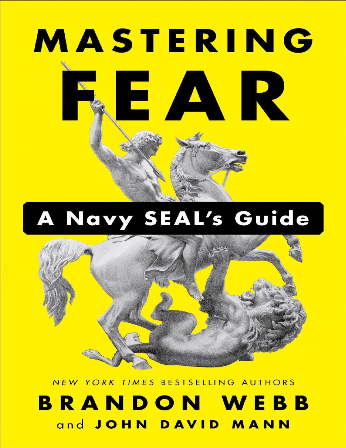 Mastering Fear A Navy Seals Guide Brandon Webb John David Mann