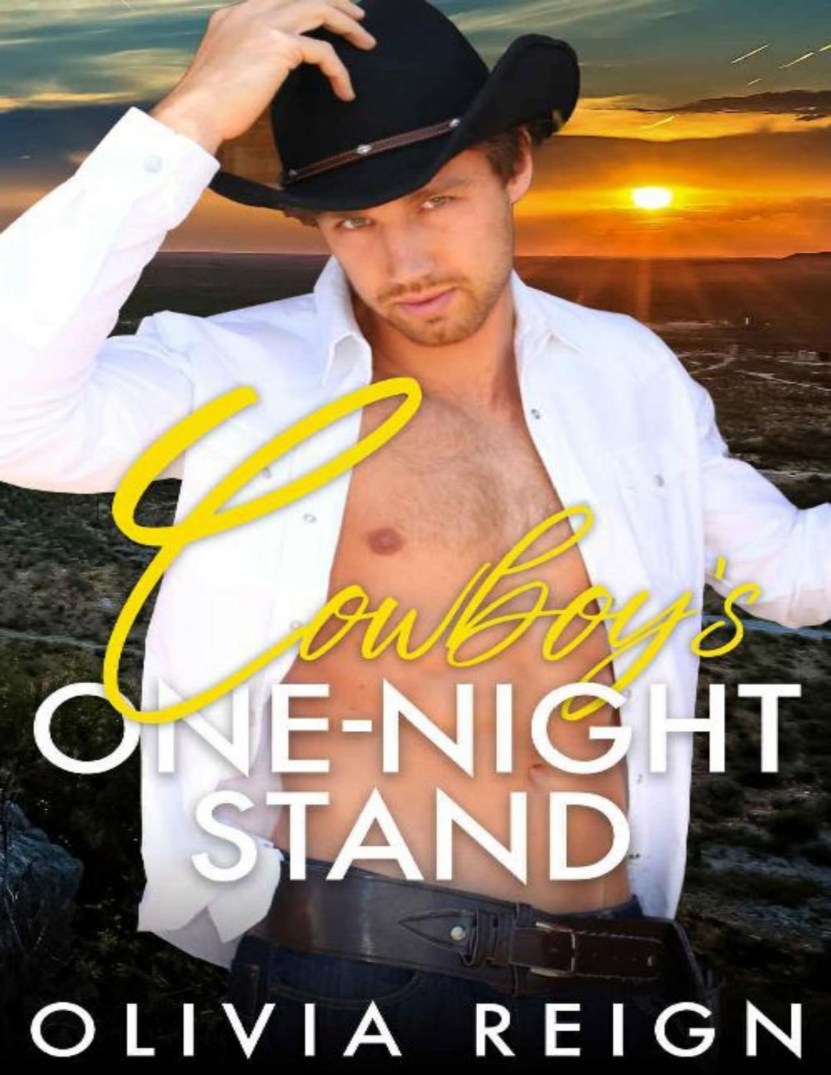 Cowboys Onenight Stand A Friends To Lovers Mistaken Identity Accidental Baby Romance Olivia Reign