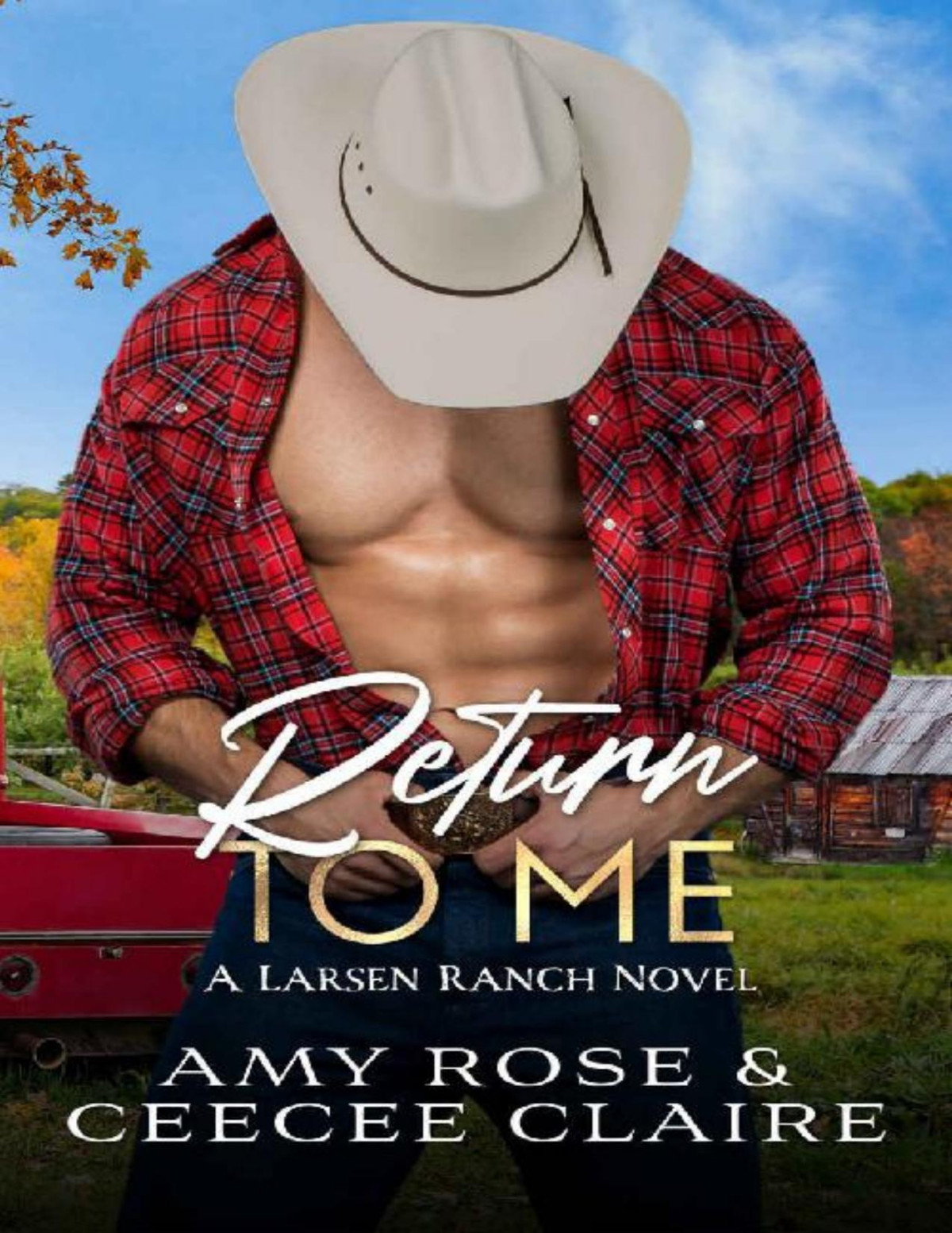 Return To Me Amy Rose Ceecee Claire