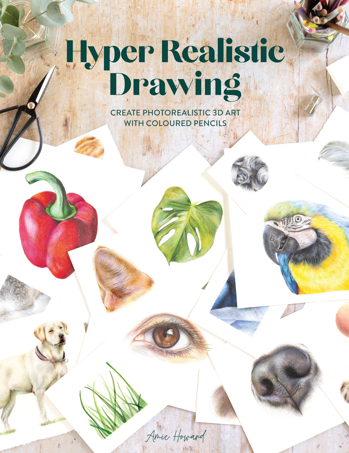 Hyper Realistic Drawing Amie Howard