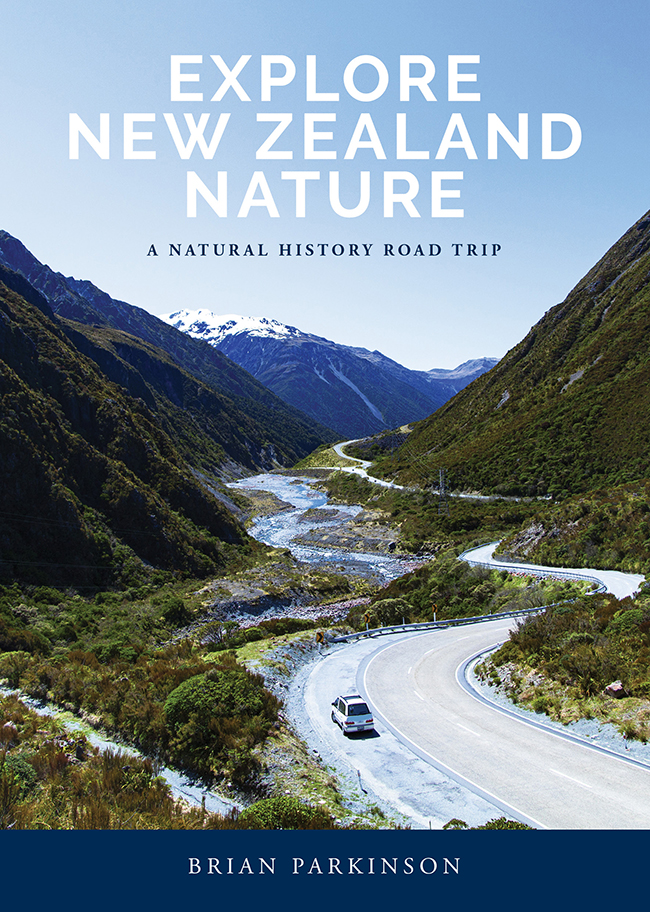 Explore New Zealand Nature A Natural History Road Trip Brian Parkinson