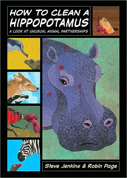 How To Clean A Hippopotamus A Look At Unusual Animal Partnerships Steve Jenkins Robin Page