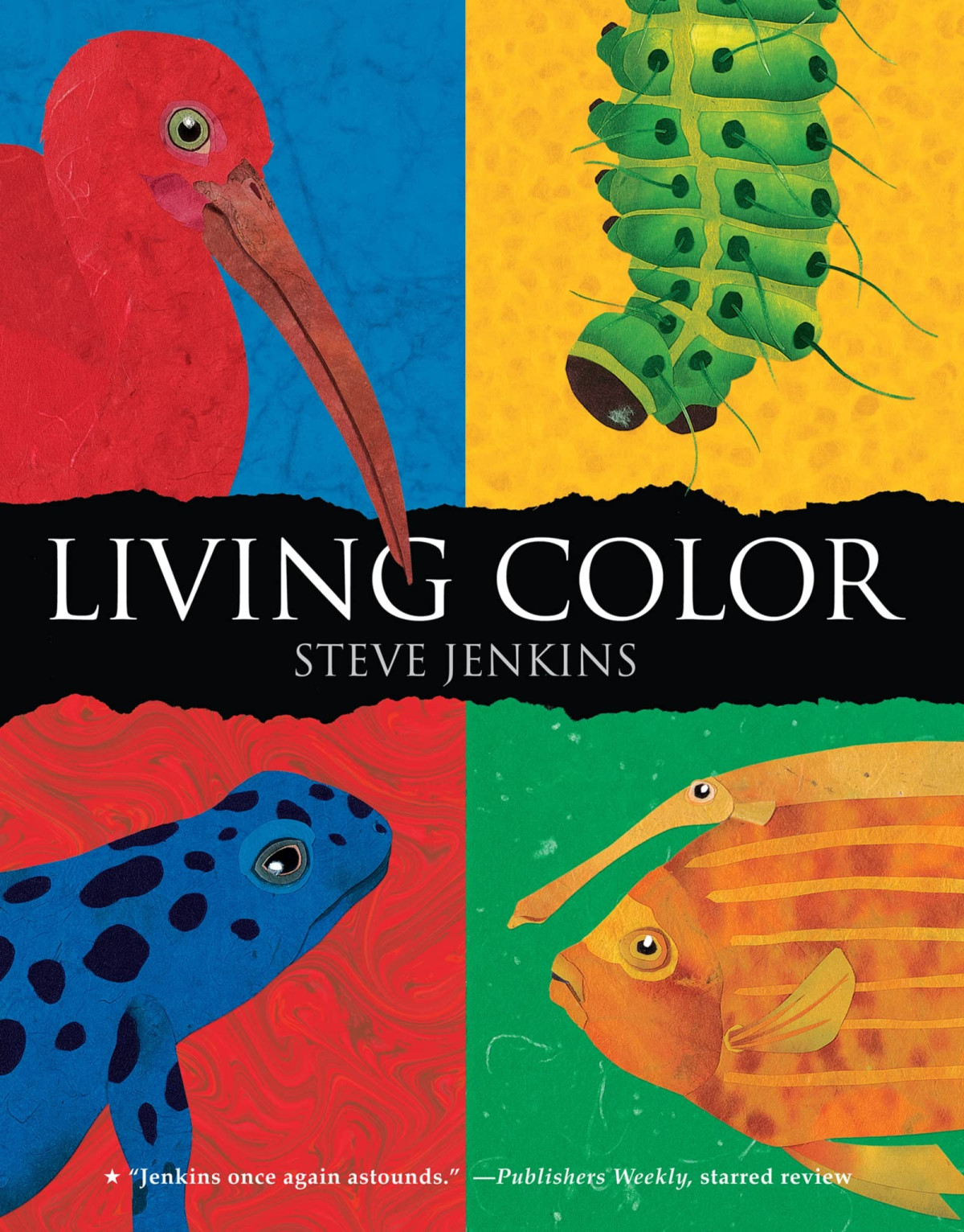 Living Color Steve Jenkins