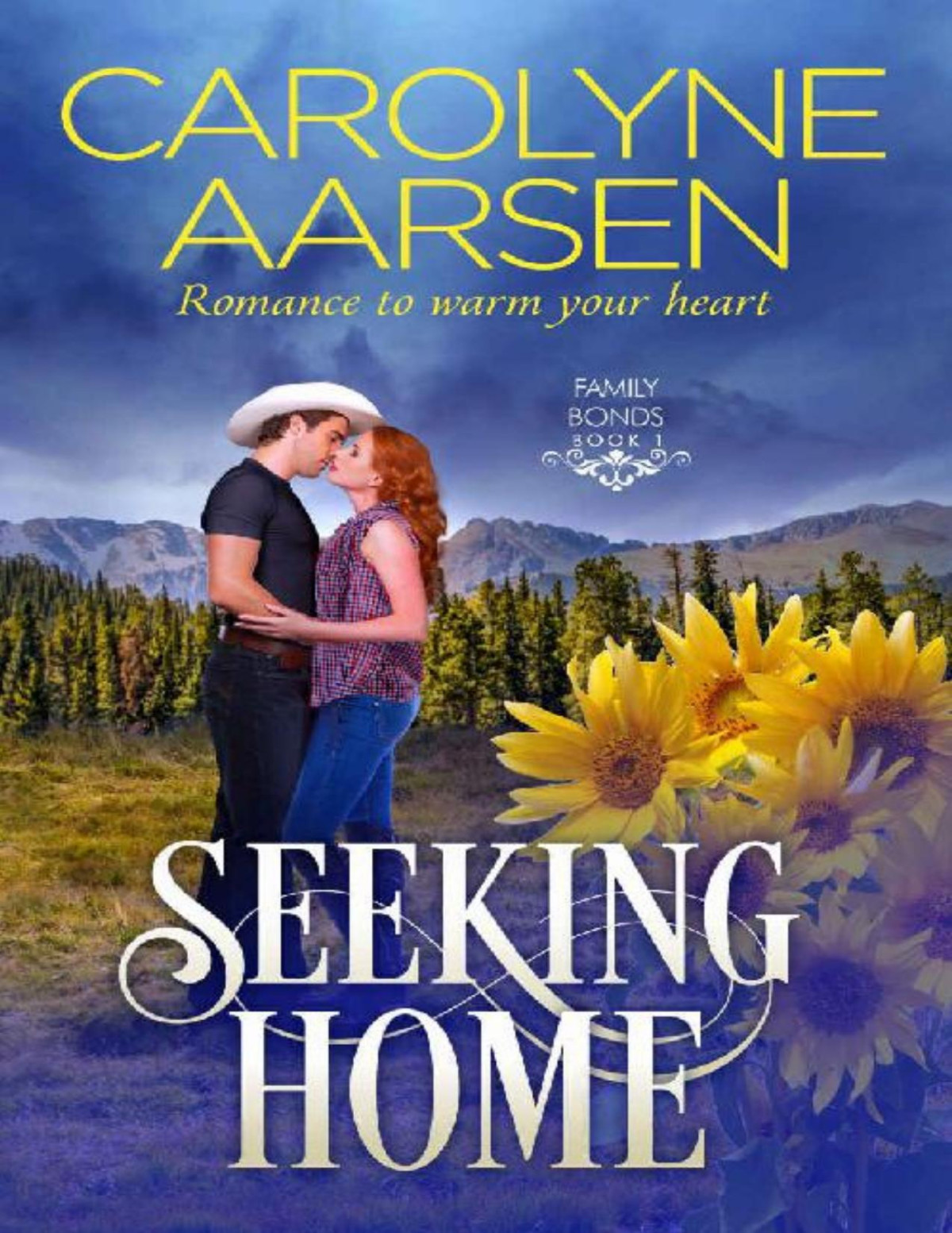 Seeking Home Family Bonds Book 1 Carolyne Aarsen