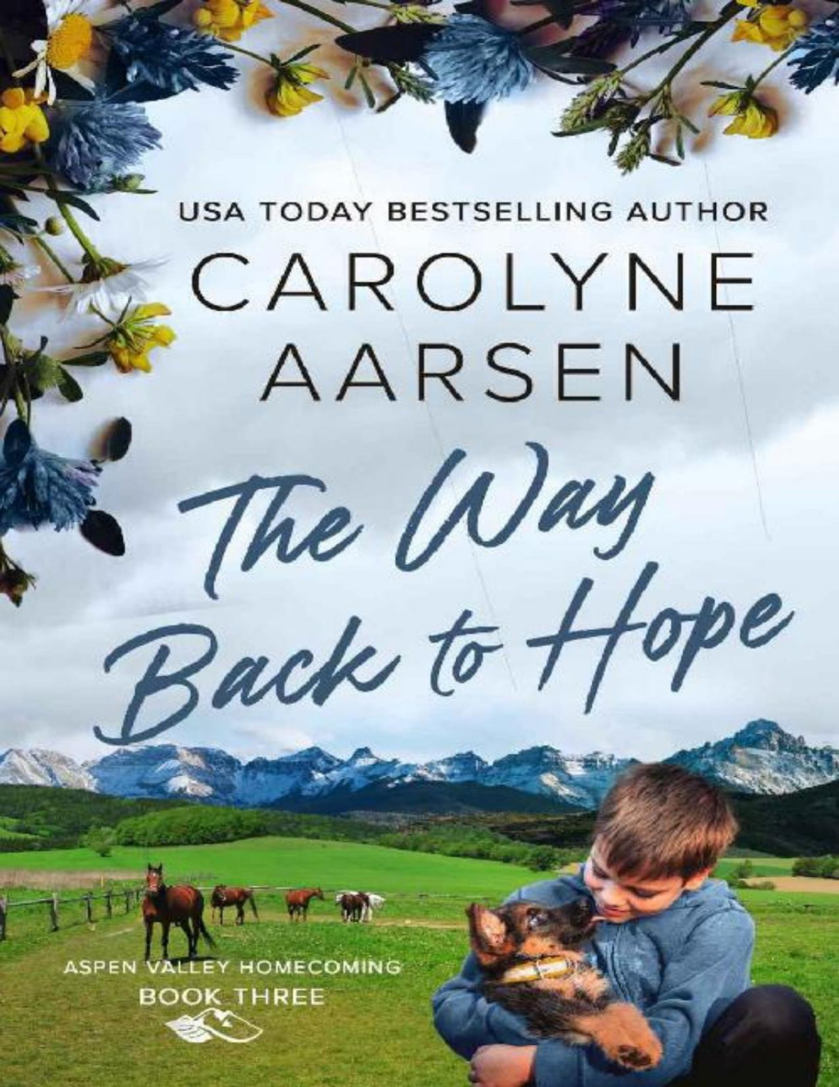 The Way Back To Hope A Sweet Small Town Romance Aspen Valley Homecoming Book 3 Carolyne Aarsen