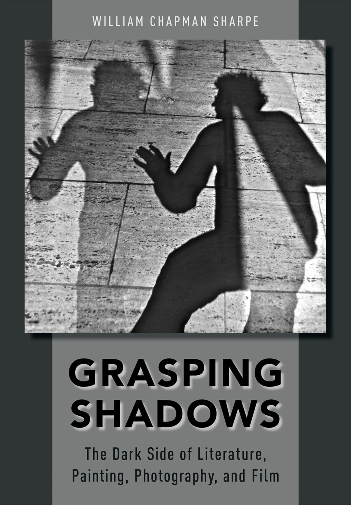 Grasping Shadows The Dark Side Of Literature Painting Photography And Film Illustrated William Chapman Sharpe