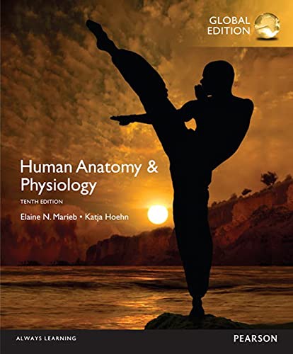 Human Anatomy Physiology Global Edition 10th Global Elaine Marieb