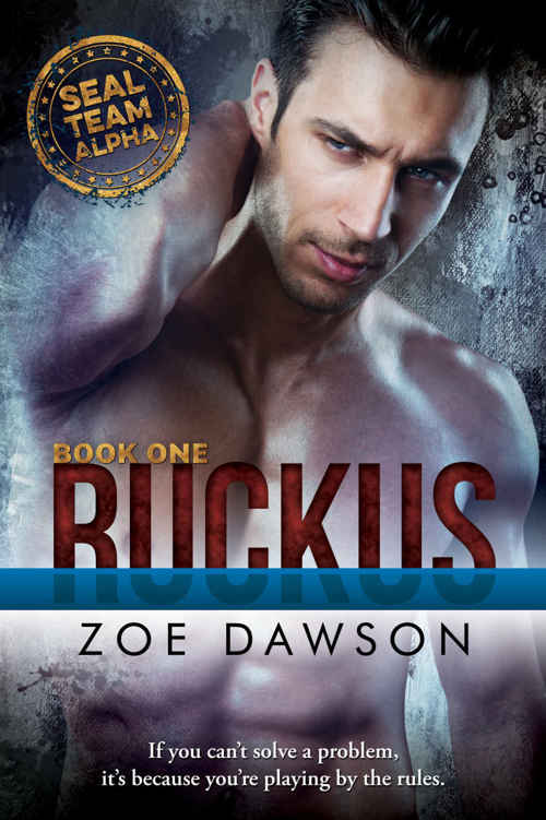 Ruckus Seal Team Alpha Book 1 Zoe Dawson