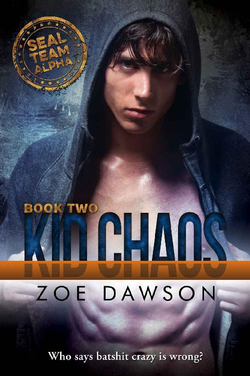 Kid Chaos Seal Team Alpha Book 2 Zoe Dawson