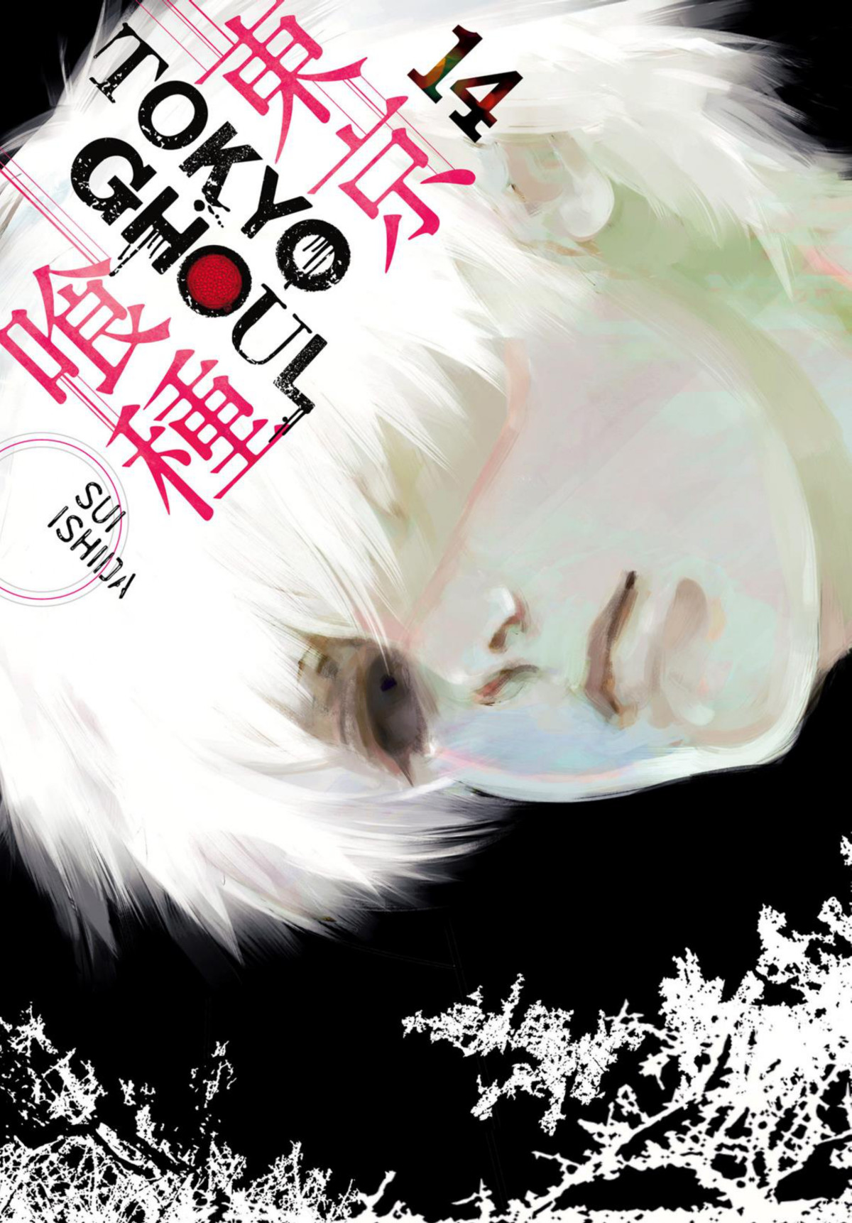 Tokyo Ghoul Vol 14 Sui Ishida