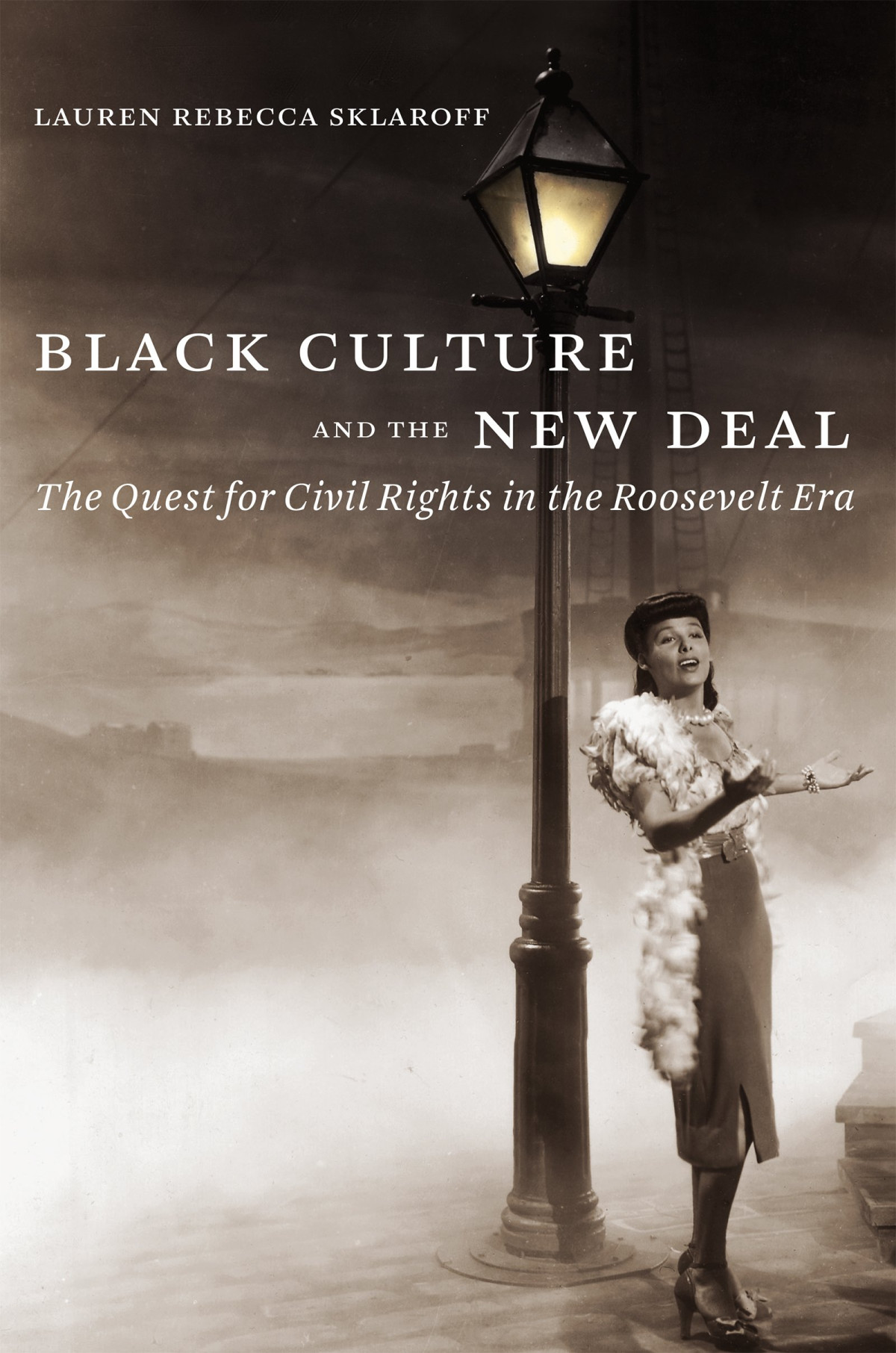 Black Culture And The New Deal The Quest For Civil Rights In The Roosevelt Era Lauren Rebecca Sklaroff