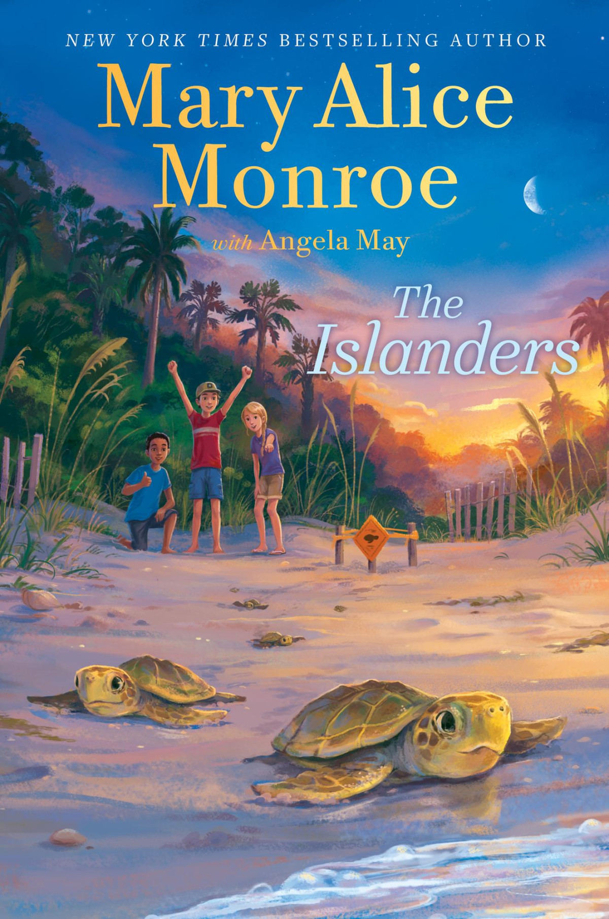 The Islanders Mary Alice Monroe Angela May