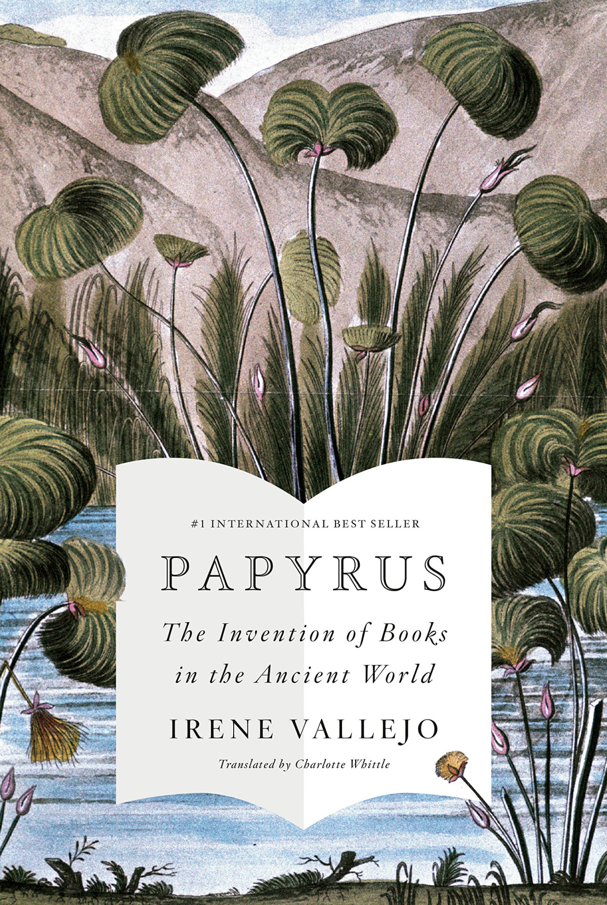 Papyrus The Invention Of Books In The Ancient World Irene Vallejo