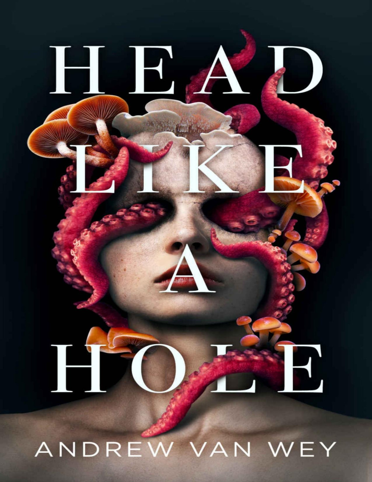 Head Like A Hole Andrew Van Wey
