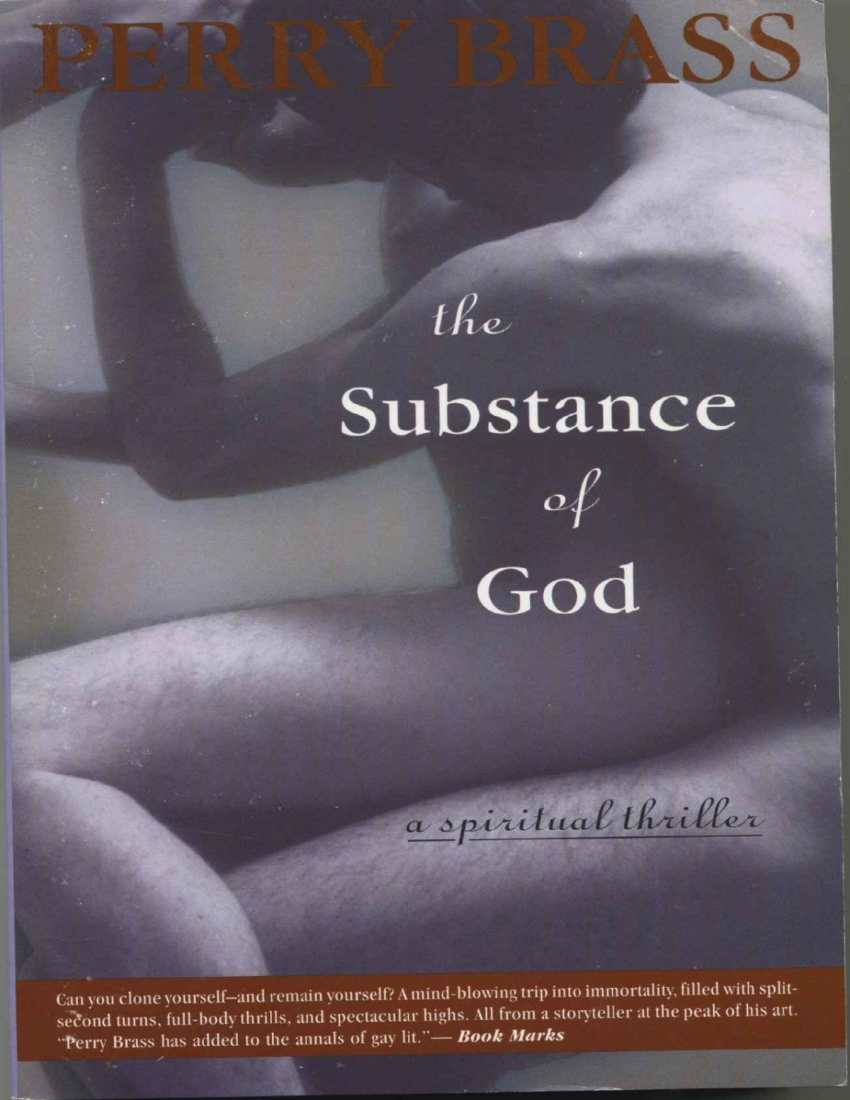 The Substance Of God Perry Brass