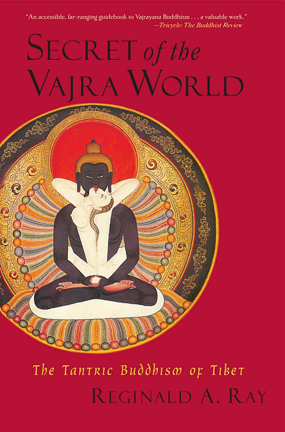 Secret Of The Vajra World 1st Edition Reginald A Ray