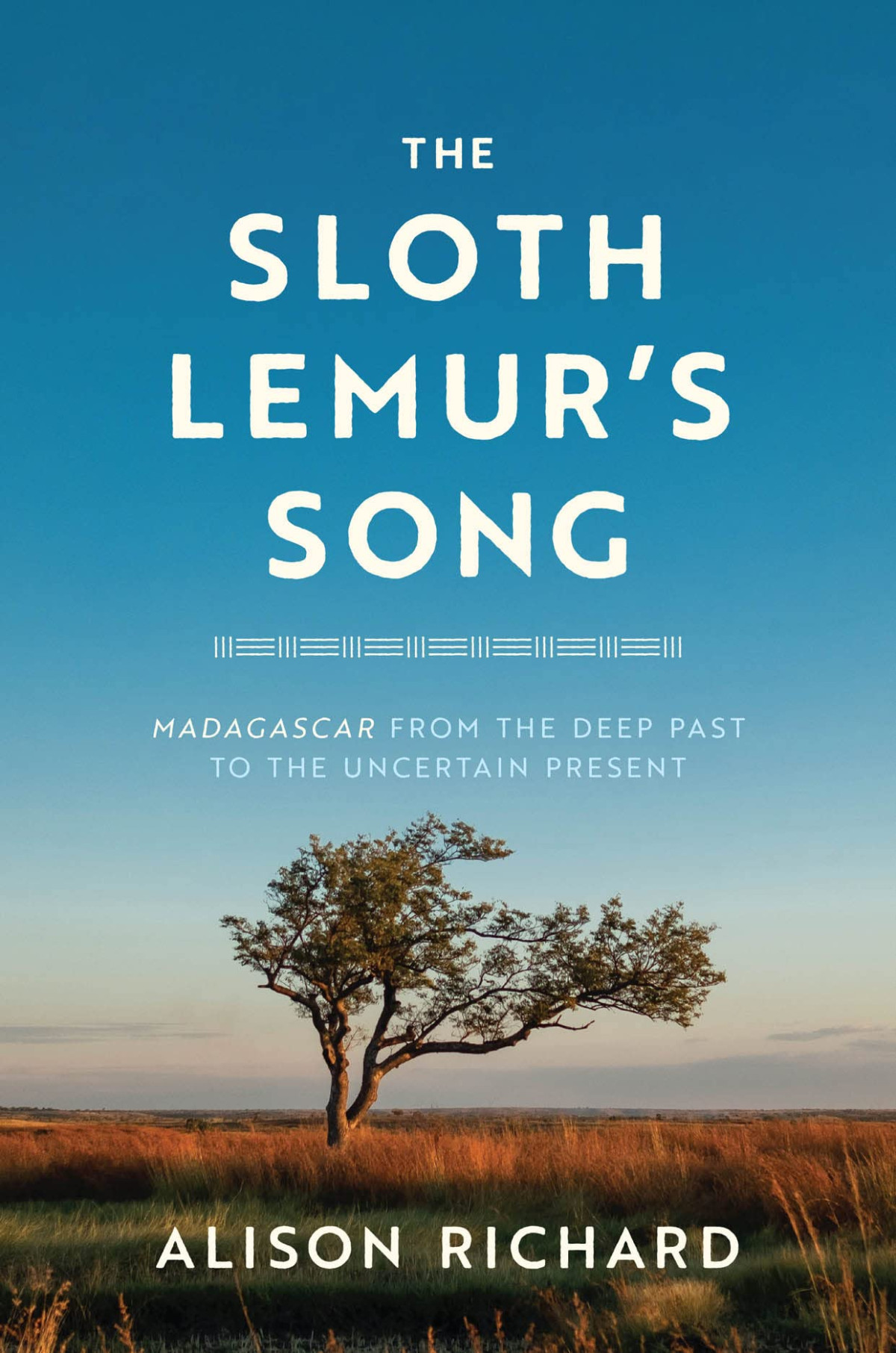 The Sloth Lemurs Song Madagascar From The Deep Past To The Uncertain Present Alison Richard