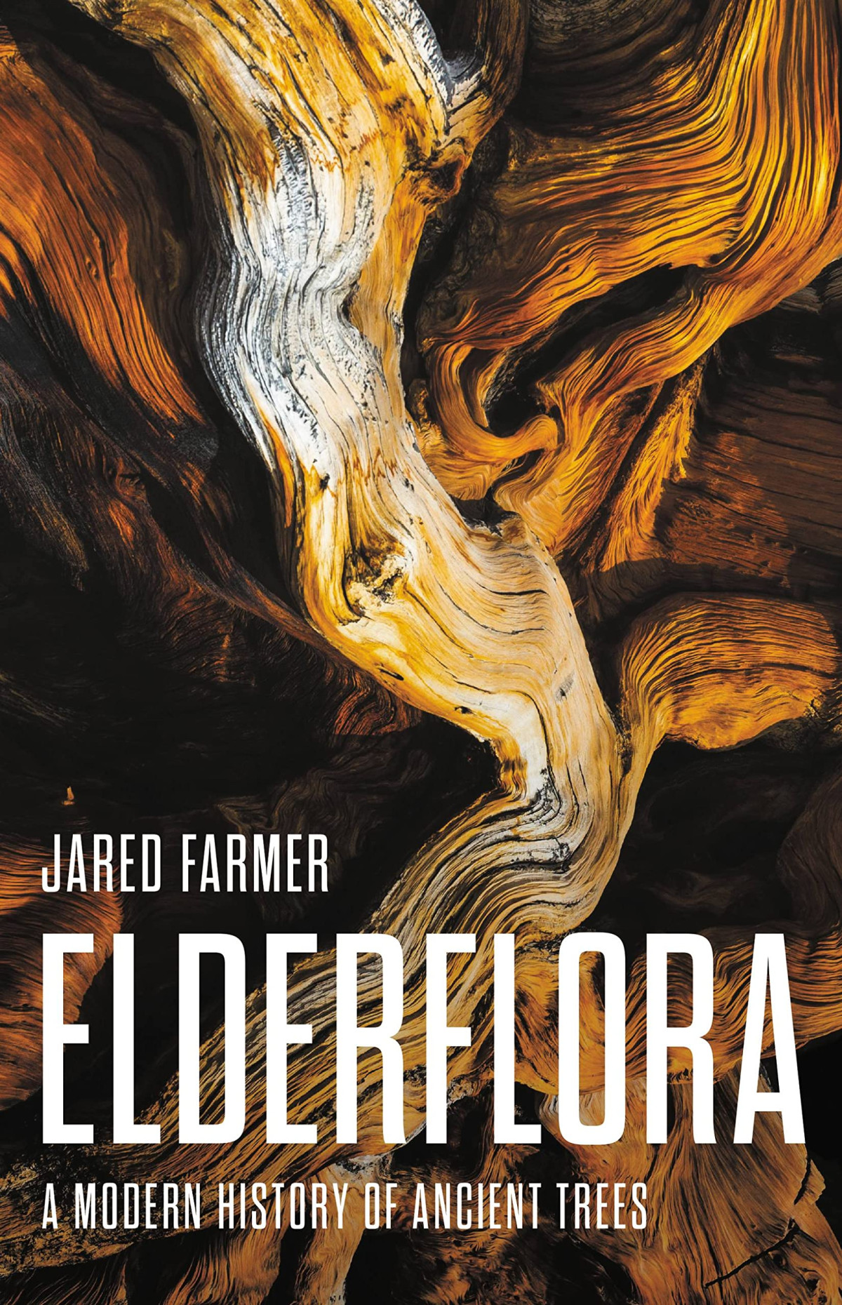 Elderflora A Modern History Of Ancient Trees Jared Farmer