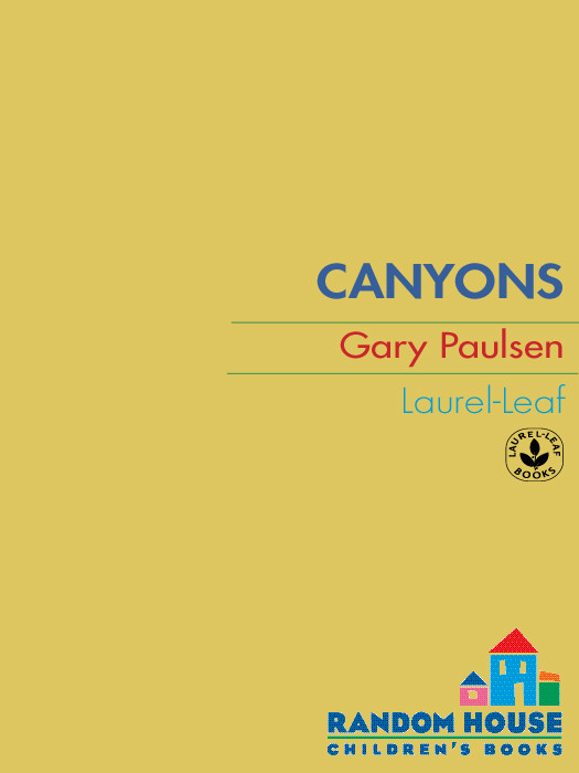 Canyons Gary Paulsen