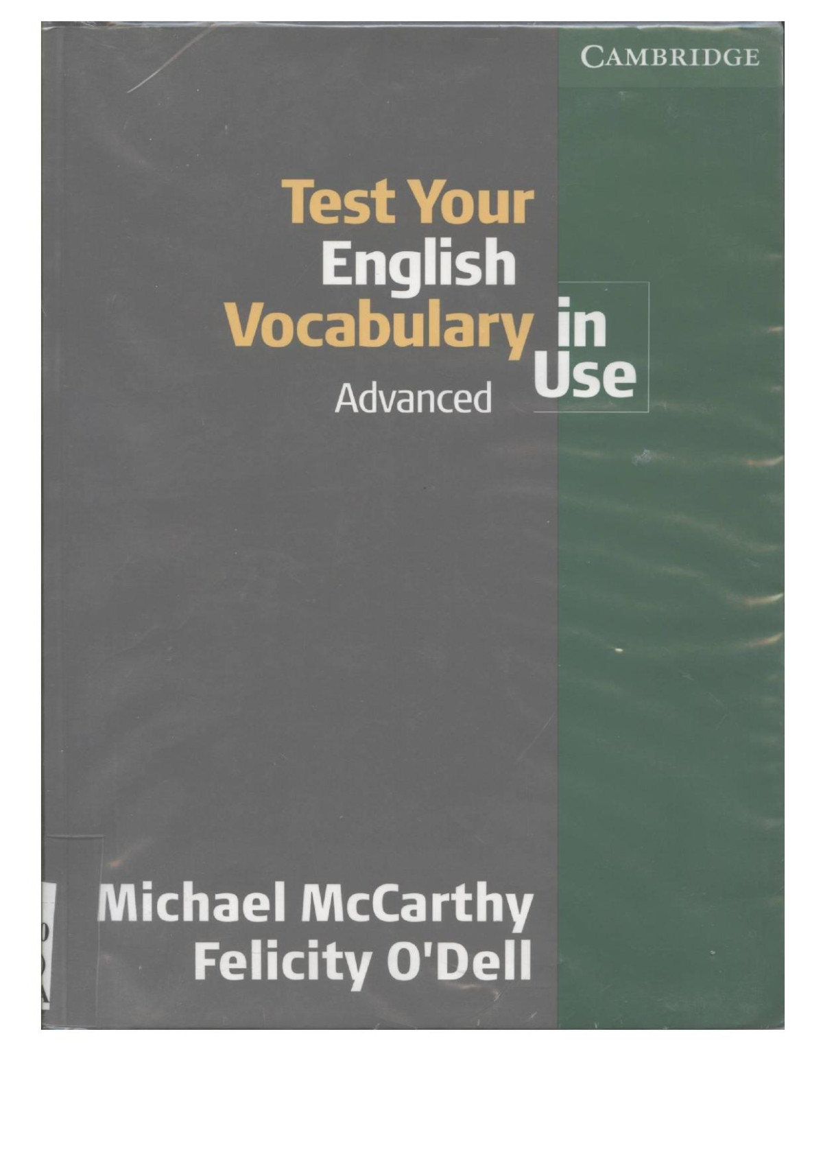 Test Your English Vocabulary In Use Advanced South Asian Edition Michael Mccarthy