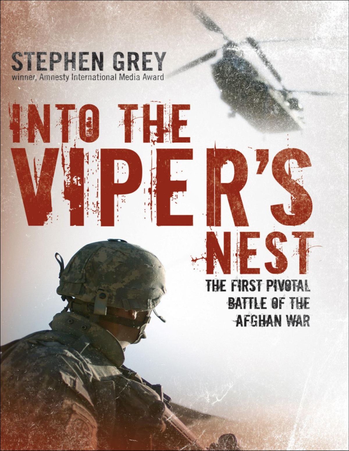 Into The Vipers Nest Stephen Grey