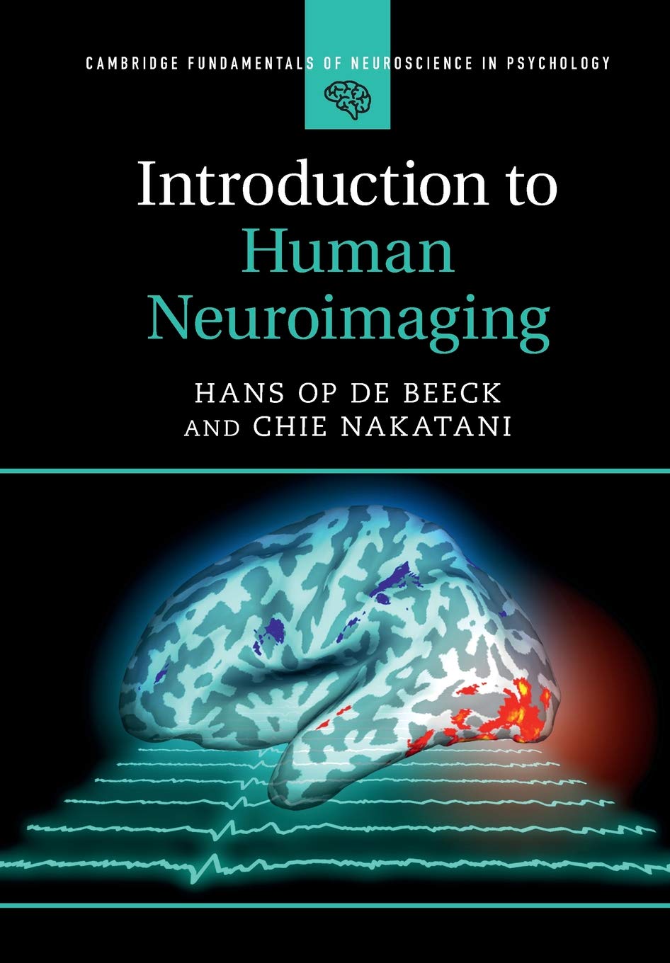 Introduction To Human Neuroimaging Hans Op De Beeck Chie Nakatani