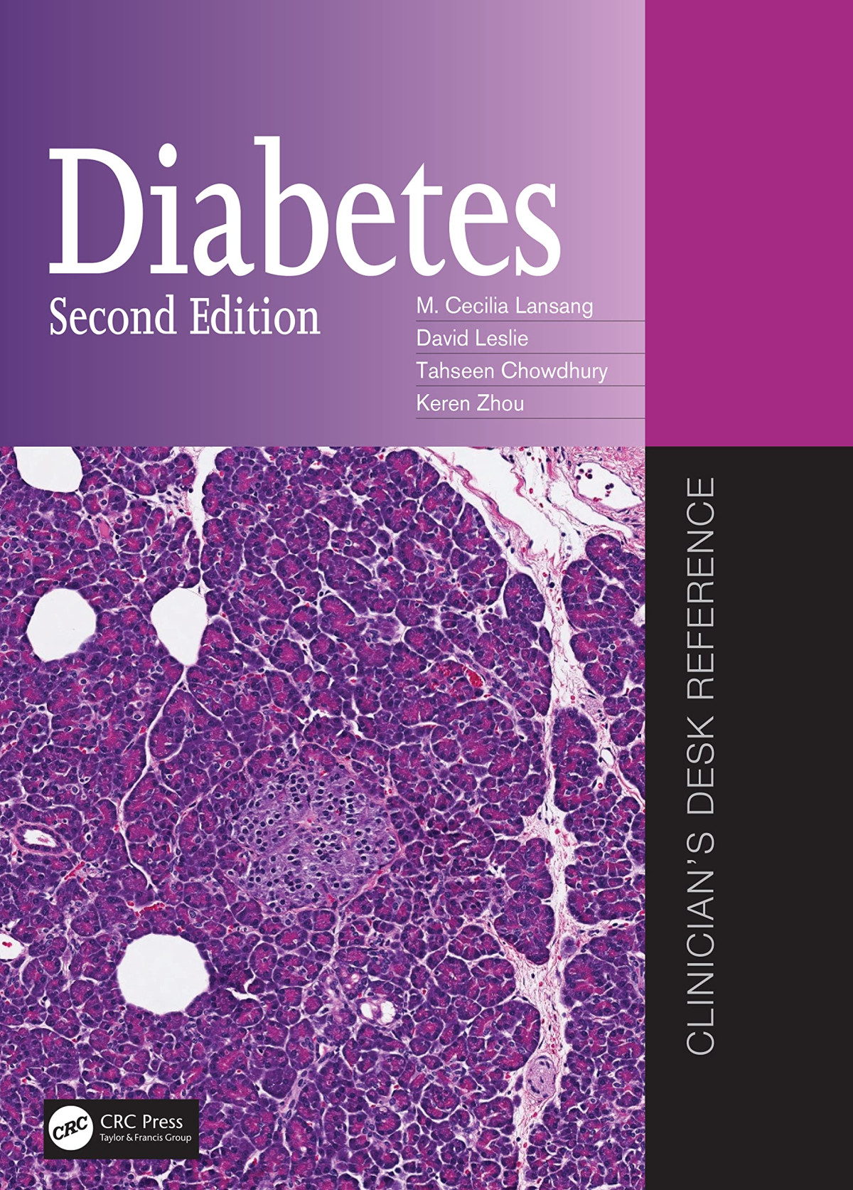 Diabetes Clinicians Desk Reference 2nd Edition M Cecilia Lansang
