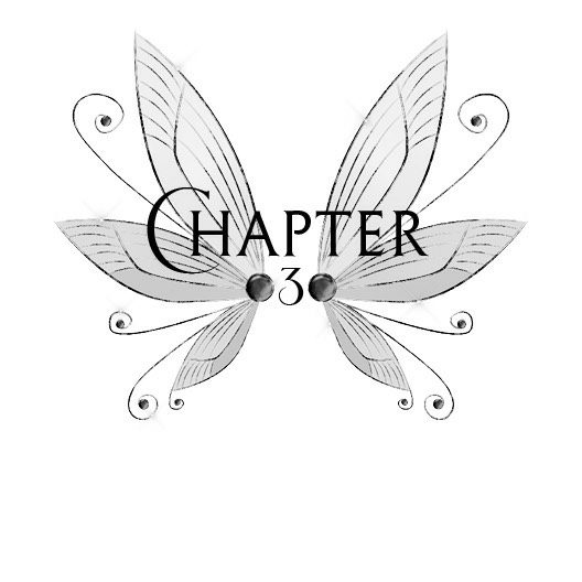 Seeking The Fae Daughter Of Light Book 1 Leia Stone