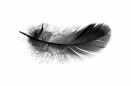 Tainted Wings Angelic Academy Book One Alisha Williams