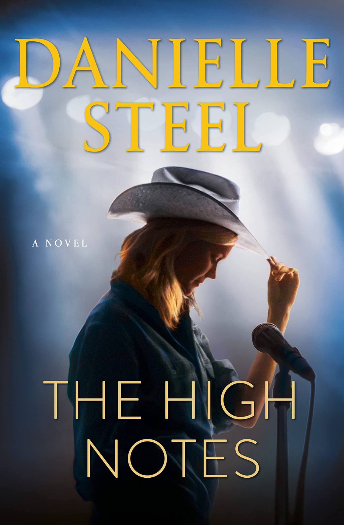 The High Notes A Novel Danielle Steel