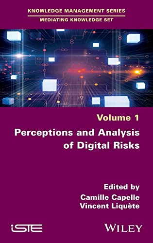 Perceptions And Analysis Of Digital Risks Camille Capelle Vincent Liquete