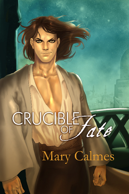 Crucible Of Fate Change Of Heart Book 4 Mary Calmes