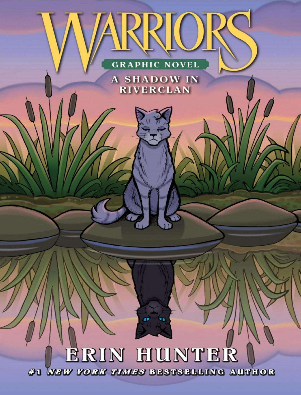 A Shadow In Riverclan Erin Hunter