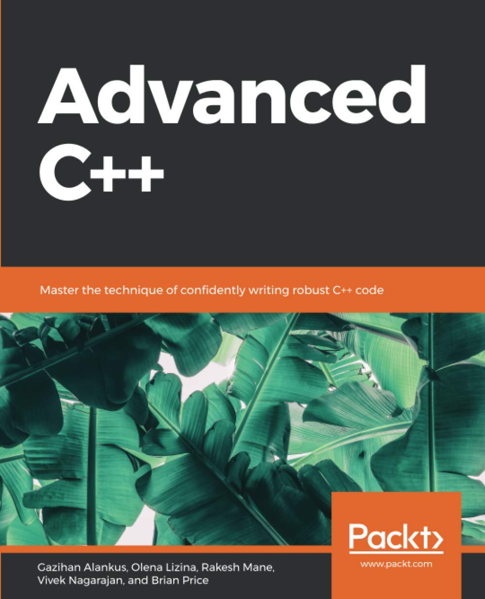 Advanced C Master The Technique Of Confidently Writing Robust C Code Gazihan Alankus