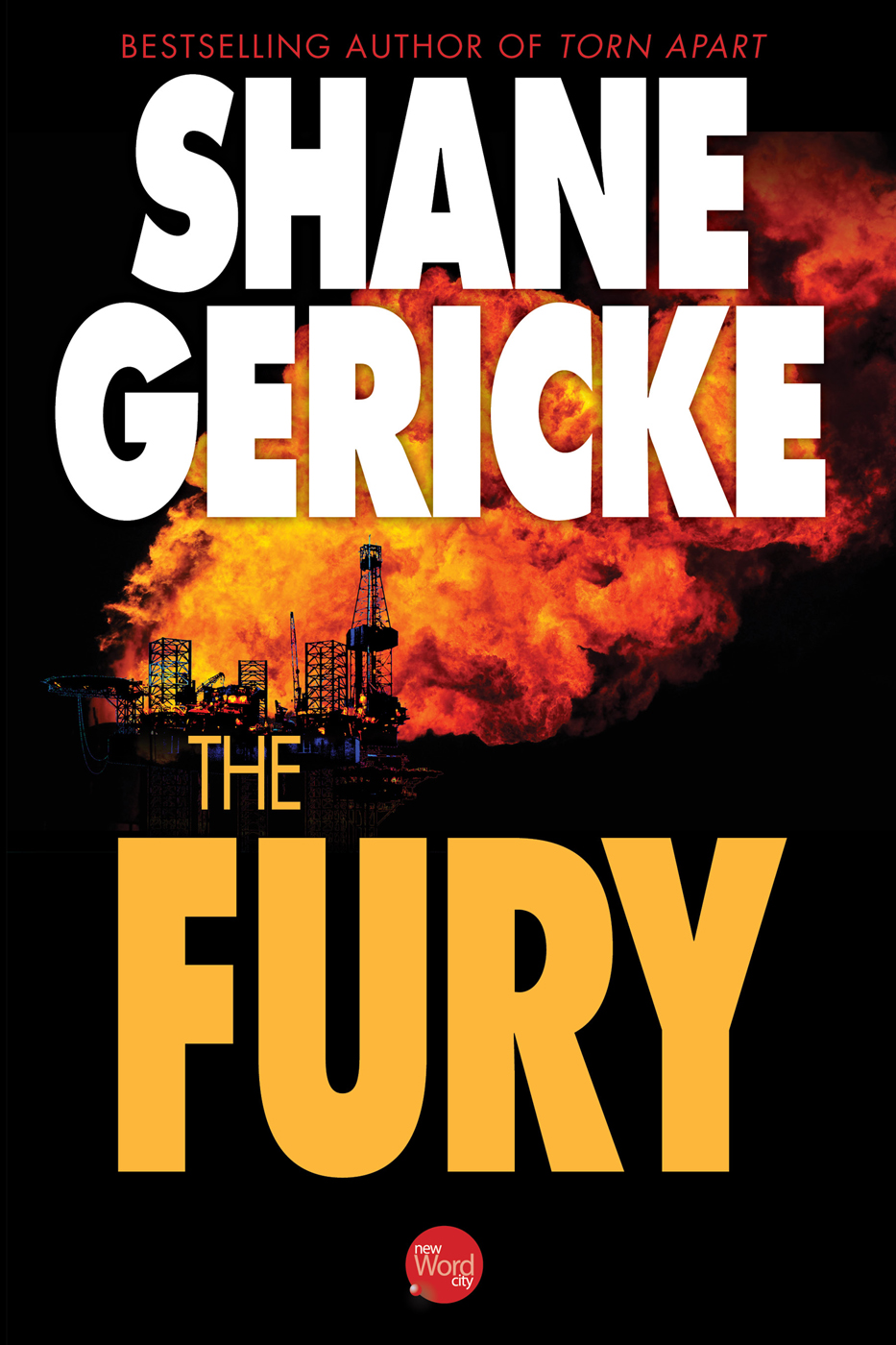 The Fury Shane Gericke