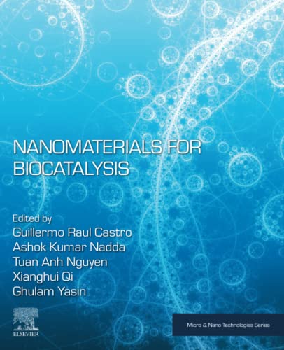 Nanomaterials For Biocatalysis Guillermo R Castro Ashok Kumar Nadda