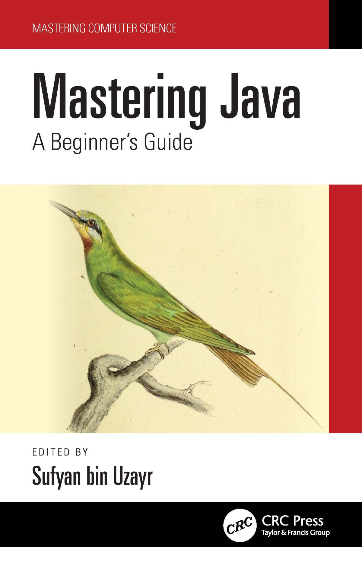 Mastering Java A Beginners Guide Divya Sachdeva Natalya Ustukpayeva