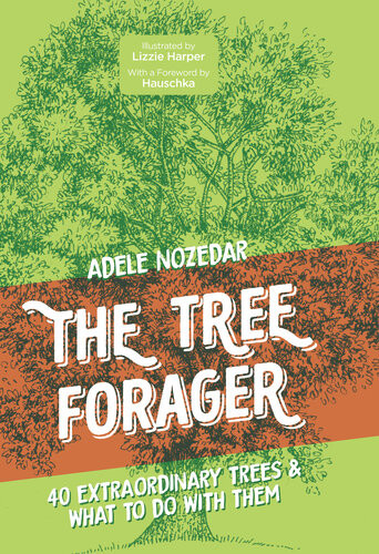 The Tree Forager 40 Extraordinary Trees What To Do With Them Wel Adele Nozedar