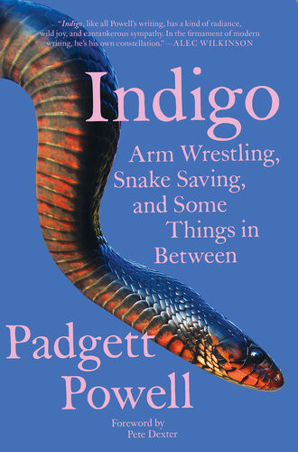 Indigo Arm Wrestling Snake Saving And Some Things In Between Padgett Powell