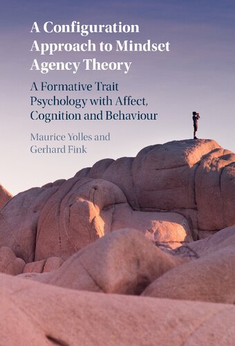 A Configuration Approach To Mindset Agency Theory A Formative Trait Psychology With Affect Cognition And Behaviour Maurice Yolles Gerhard Fink