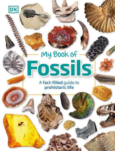 My Book Of Fossils A Factfilled Guide To Prehistoric Life Dk Publishing
