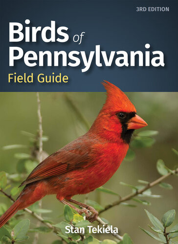 Birds Of Pennsylvania Field Guide Stan Tekiela