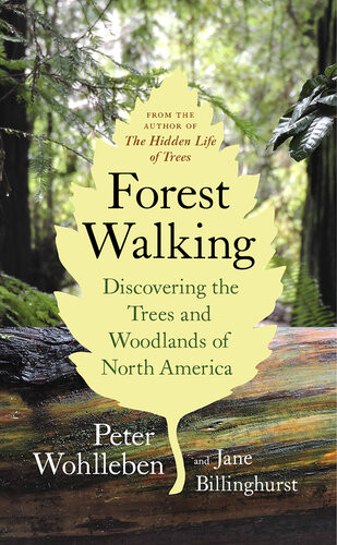 Forest Walking Discovering The Trees And Woodlands Of North America Peter Wohlleben Jane Billinghurst