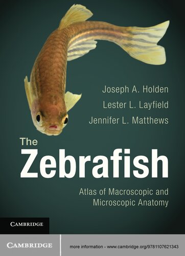 The Zebrafish Atlas Of Macroscopic And Microscopic Anatomy Joseph Holden Lester L Layfield Jennifer L Matthews