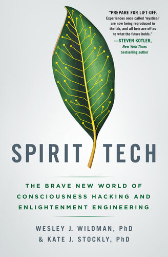 Spirit Tech The Brave New World Of Consciousness Hacking And Enlightenment Engineering Wesley J Wildman Kate J Stockly