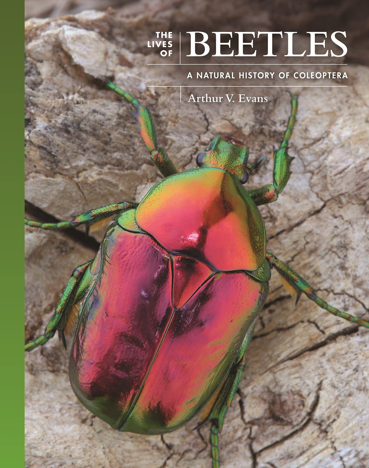 The Lives Of Beetles A Natural History Of Coleoptera Arthur V Evans