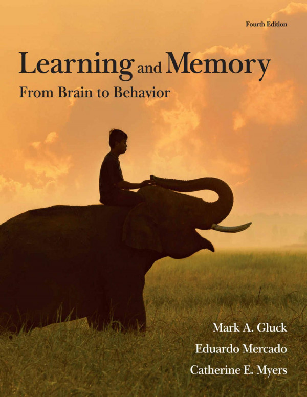 Learning And Memory From Brain To Behavior Mark Gluck Eduardo Mercado