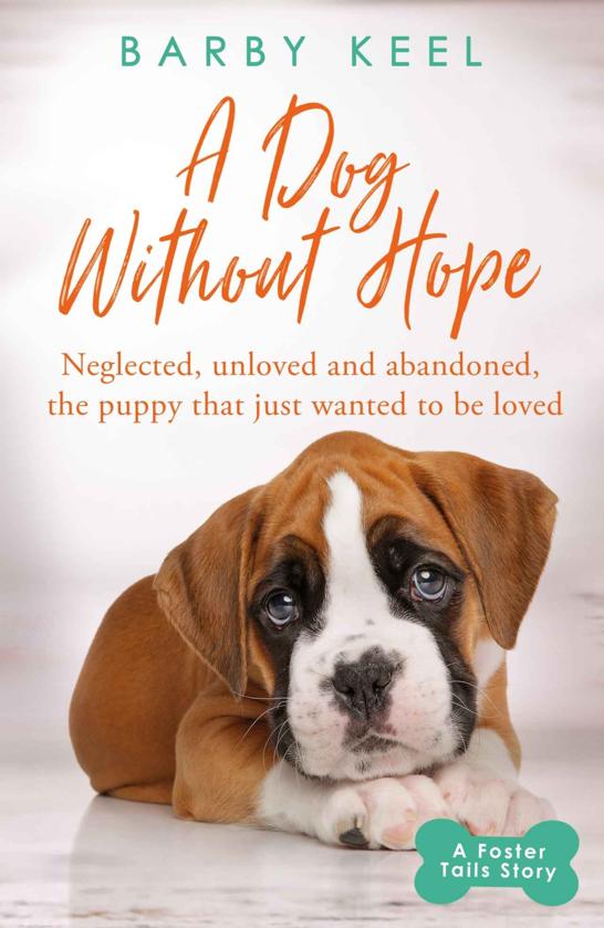 A Dog Without Hope A Foster Tails Story Barby Keel
